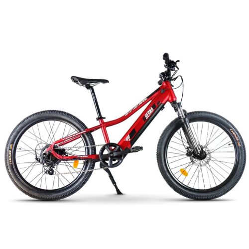 E-MTB UrbanBiker Berna Kinder