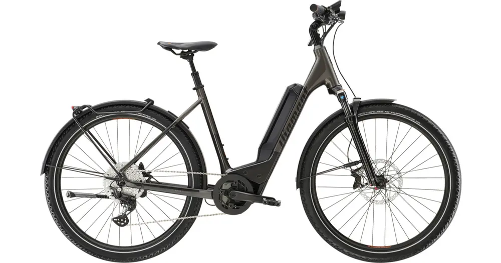 E-Bike DIAMANT 138 Wave 545Wh