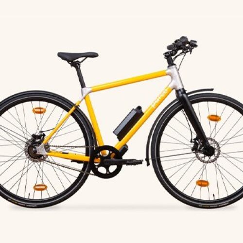 E-Bike parco 005