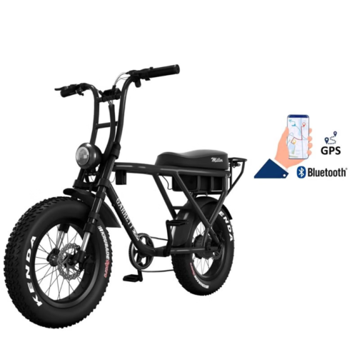 Elektro-Cargo-Tandem Garrett Miller X Doppelakku Allrad