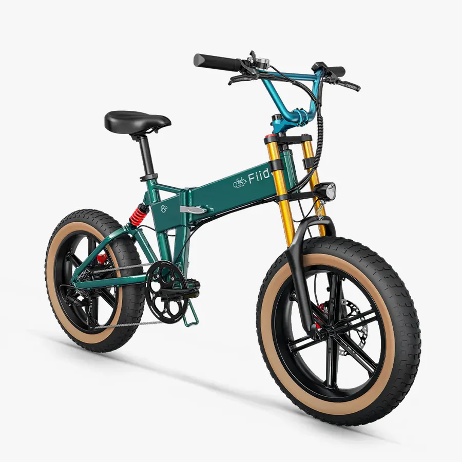 Fiido M1 Pro E-Bike Vtt Fatbike Cargo De Gros Pneus – Bild 2