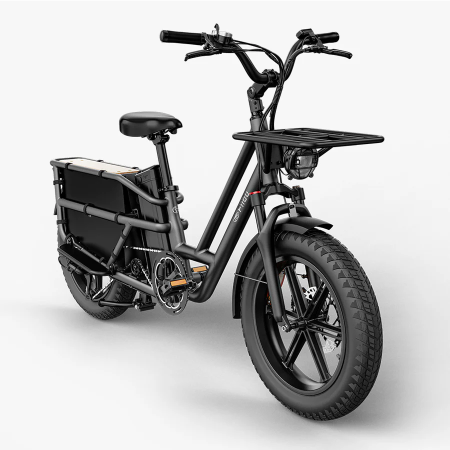 Fiido T2 E-Bike Longtail Fatbike Cargo – Bild 4