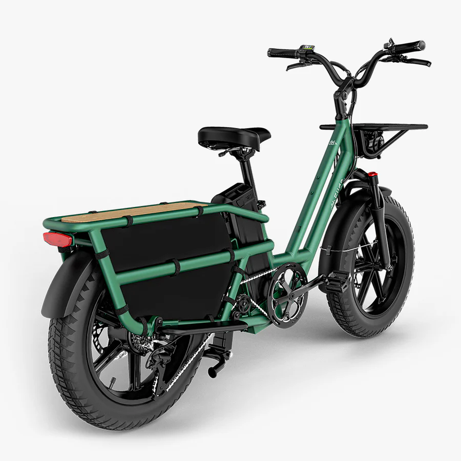 Fiido T2 E-Bike Longtail Fatbike Cargo – Bild 3