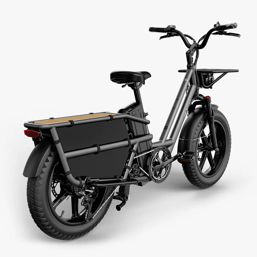 Fiido T2 E-Bike Longtail Fatbike Cargo – Bild 2