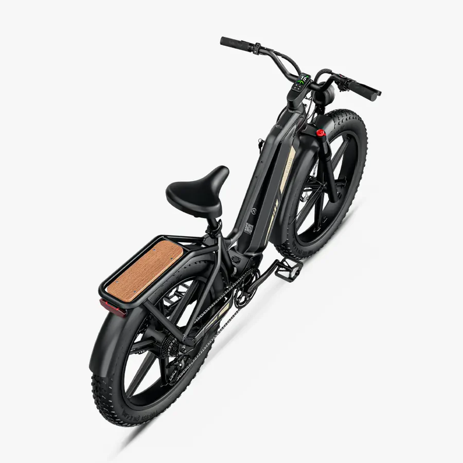 Fiido Titan Fat Tire Touring E-Bike – Bild 4