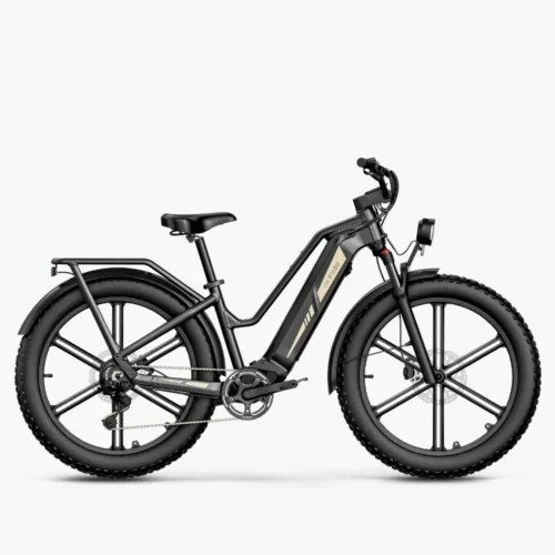 Fiido Titan Fat Tire Touring E-Bike