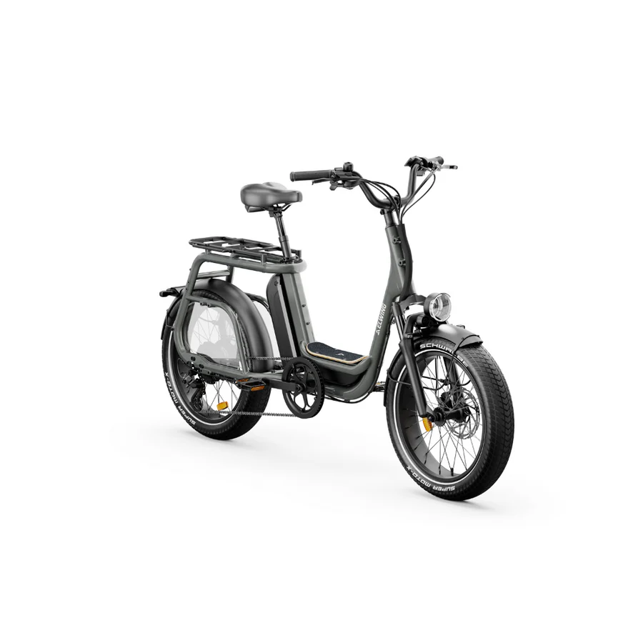Elwing Ritmic Solo E-Bike cargo