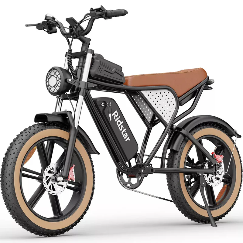E-Bike Ridstar Q20 1500 W
