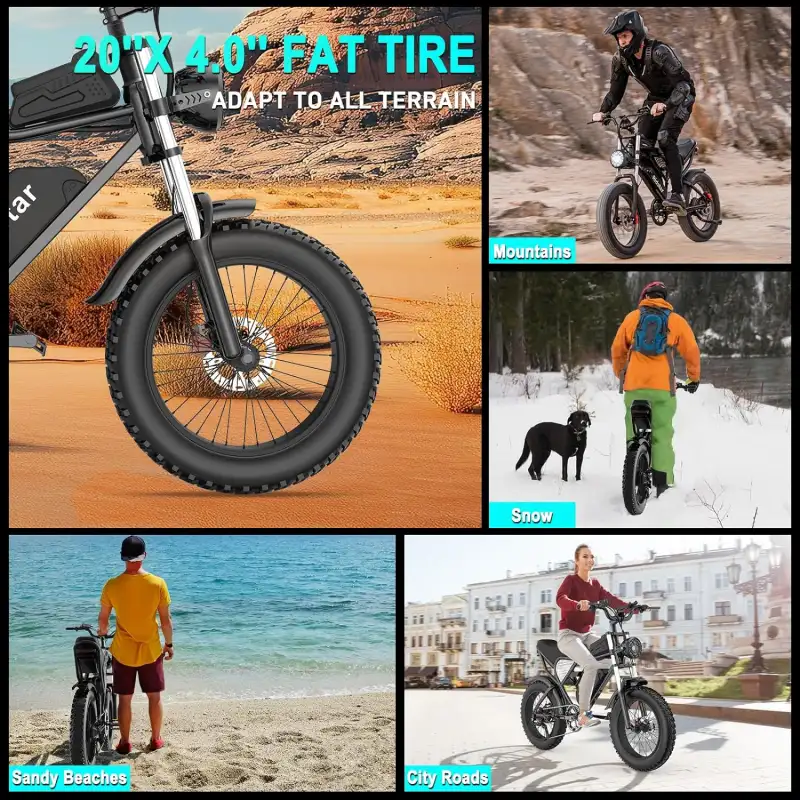 E-Bike Ridstar Q20 Lite 1000W 48V 15AH – Bild 3