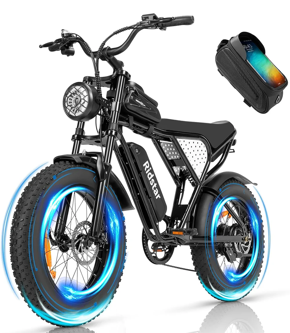 E-Bike Ridstar Q20 Lite 1000W 48V 15AH
