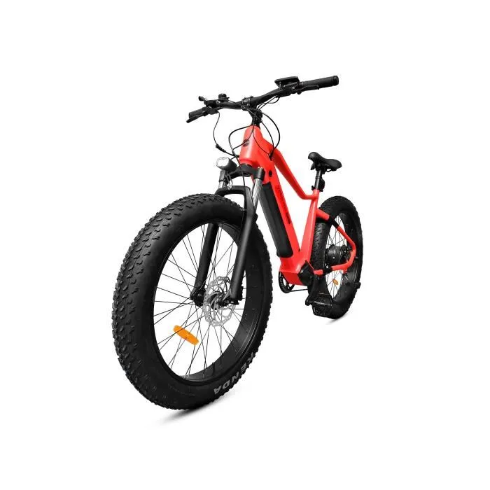 E-Bike YEEP.ME HOLIDAY Fat-Bike 26″ – Bild 4