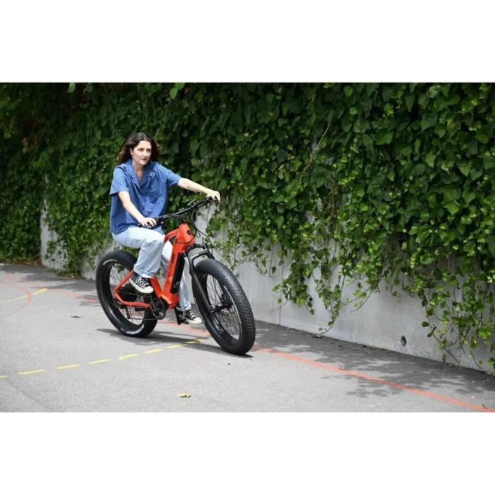 E-Bike YEEP.ME HOLIDAY Fat-Bike 26″ – Bild 2