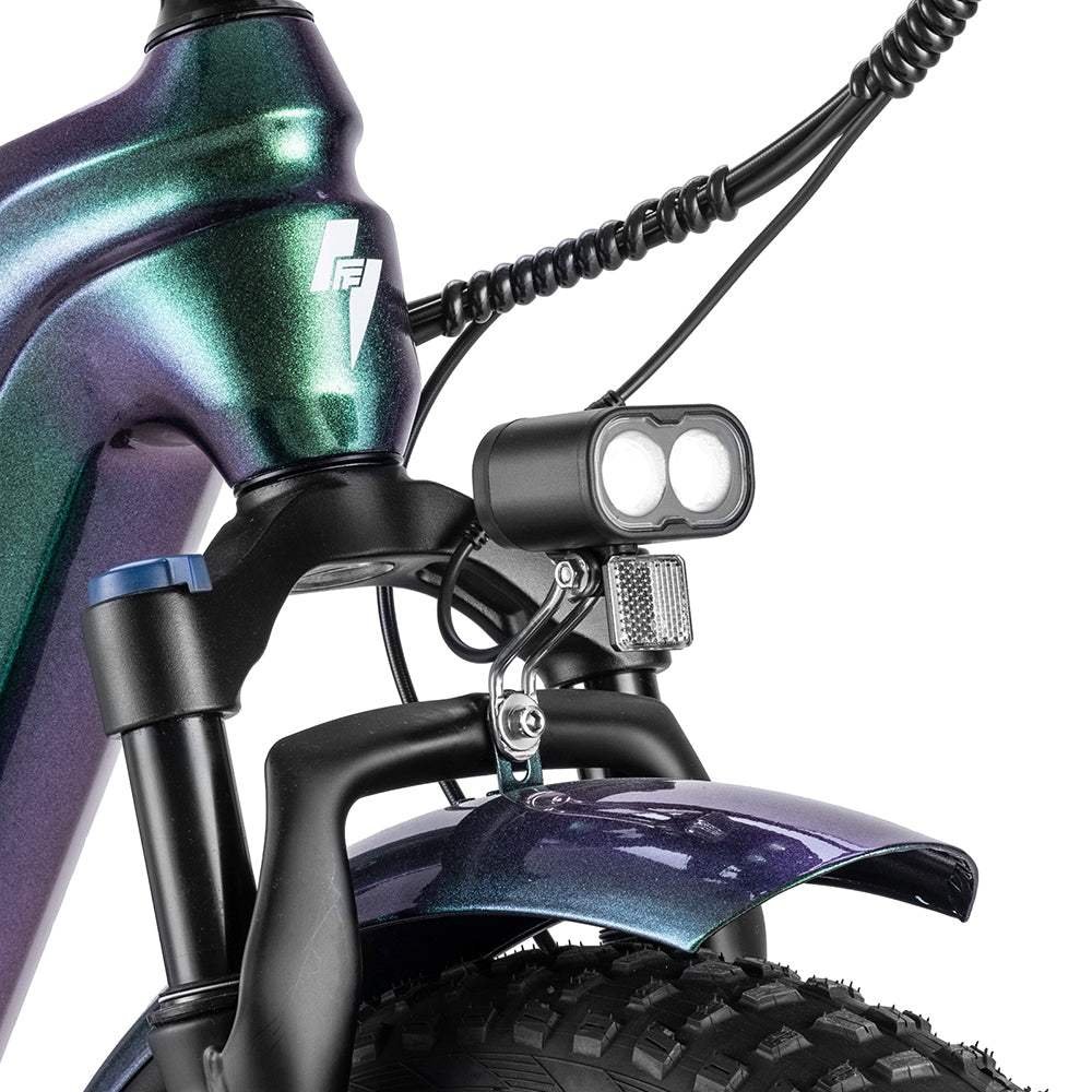 Fafrees F20 Master 500W 20″ Fat-E-Trekking-Bike Carbonrahmen – Bild 6