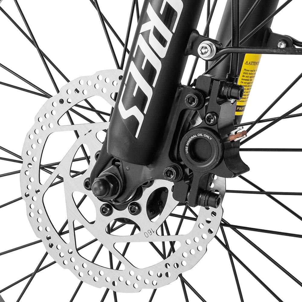 Fafrees F20 Master 500W 20″ Fat-E-Trekking-Bike Carbonrahmen – Bild 5