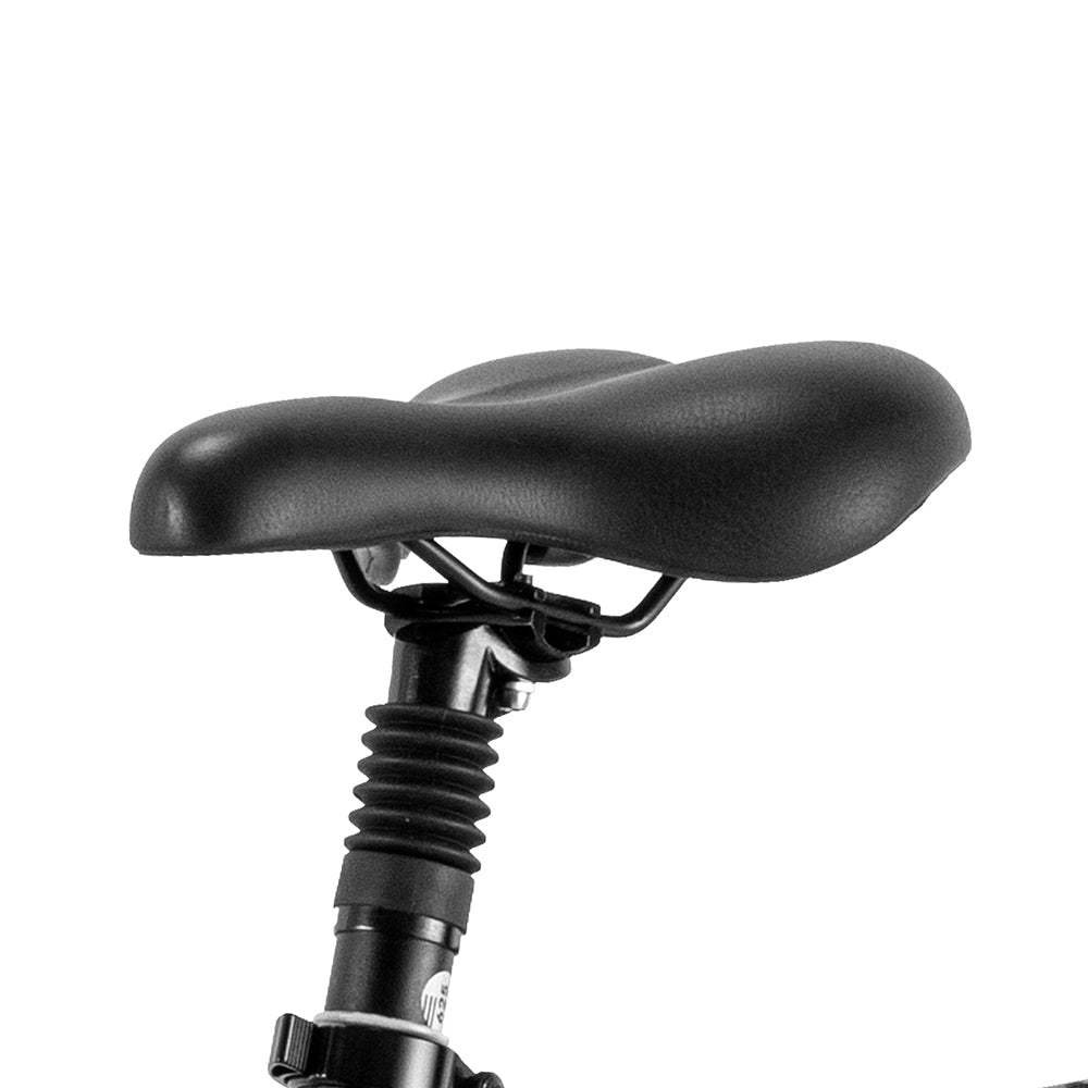 Fafrees F20 Master 500W 20″ Fat-E-Trekking-Bike Carbonrahmen – Bild 3