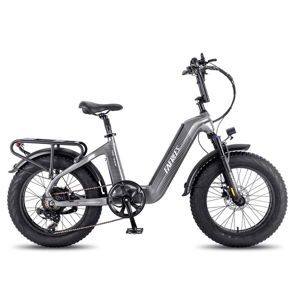 Fafrees F20 Master 500W 20″ Fat-E-Trekking-Bike Carbonrahmen – Bild 14