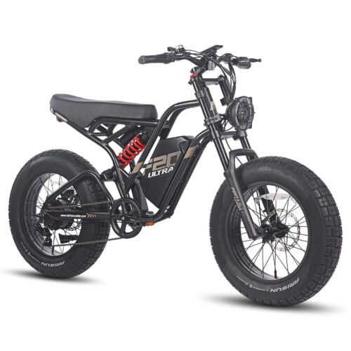 FAFREES F20 ULTRA 750W 20″ Fat-E-MTB 48V 25Ah